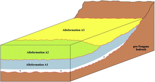 Figure 4. Simplified geological scheme of the investigated area (not in scale). Solid red lines indicate unconformities (boundaries of each alloformation). The white area is indicative of the lowermost part of the Neogene succession, not exposed in the distal sector of the investigated area.