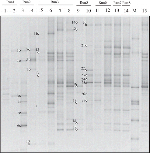 Figure 3. DGGE profiles of universal 16S rRNA gene amplicons collected from the nutrient reservoir tank (no.1–14) and biofilm on the packing material (no.15) of RSB. Open circles with numbers indicate excised bands. These bands were analyzed by sequencing. A phylogenetic tree based on the sequence data is shown in Figure 6. Lanes: 1; day 2, 2; day 9, 3; day 16, 4; day 31, 5; day 36, 6; day 40, 7; day 51, 8; day 68, 9; day 105, 10; day 118, 11; day 132, 12; day 145, 13; day 163, 14; day 183, M; marker, 15; day 68.