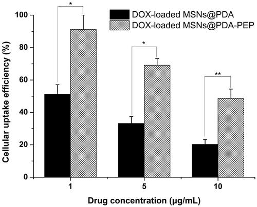 Figure 6. Cellular uptake efficiencies of DOX-loaded MSNs@PDA and DOX-loaded MSNs@PDA-PEP at different drug concentrations (n =3). *p < 0.05; **p < 0.01.