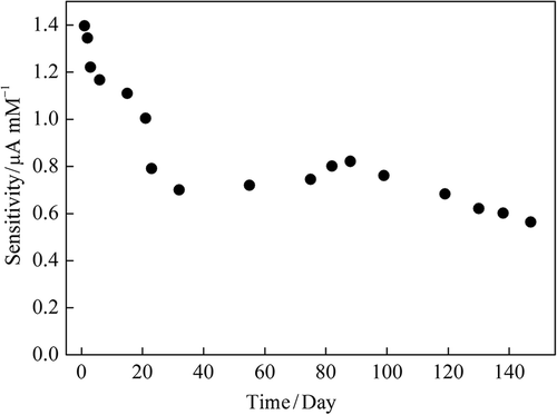 Figure 7. Storage stability of ZnONPs modified carbon paste enzyme electrode stored at 4°C (The applied potential + 0.4 V vs. Ag/AgCl).