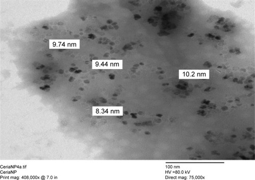 Figure 2 TEM image of CeriaNPs.Abbreviations: NP, nanoparticle; Mag, magnification; TEM, transmission electron microscopy.