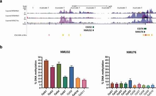 Figure 1. Genomic location of the NMU regions used for the methylation study