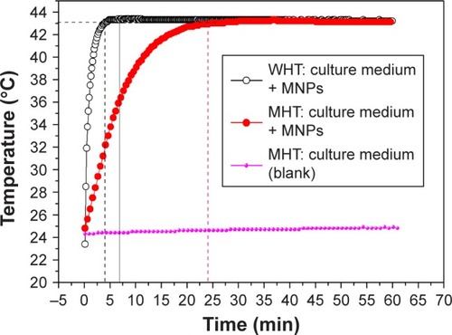 Figure 7 Temperature curves for WHT and MHT.Notes: The heating rate for WHT was 0.26°C/s vs 0.028°C/s for MHT. The average heating rate for WHT was 0.082°C/s and 0.012°C/s for MHT.Abbreviations: MHT, magnetic hyperthermia; MNPs, magnetic nanoparticles; WHT, water-based hyperthermia.