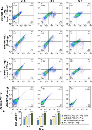 Figure 6 Amount of apoptosis and necrosis was detected by Annexin/PI kit for GO-PEG-(P-l-Arg), GO-PEG-(P-l-Arg)/miR-101 with and without laser irradiation. The viability of cells is visualized by bar chart.Abbreviations: GO, graphene oxide; PEG, polyethylene glycol; P-l-Arg, poly-l-arginine; FITC, fluorescein isothiocyanate; PI, propidium iodide.