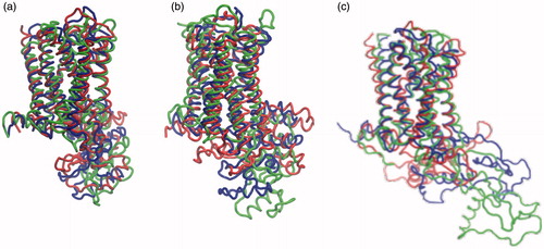 Figure 6. Superposition of initial and final structures of the serotonin1A receptor. The structures correspond to the starting structure (blue) and the structures after 100 ns of simulation in POPC (red) and POPC/cholesterol (green) bilayers in the three models. The structures are represented for (a) model 1, (b) model 2 and (c) model 3 (For interpretation of the references to color in this figure legend, the reader is referred to the web version of this article).