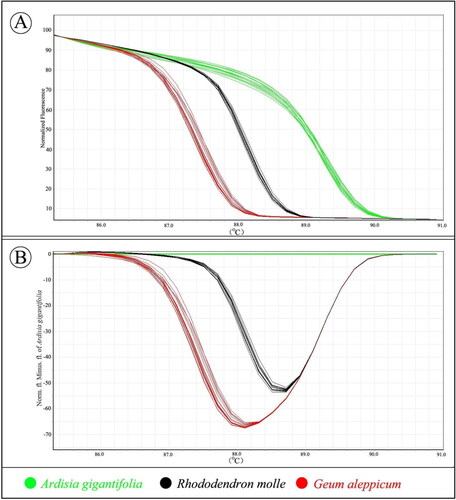 Figure 3. High resolution melting analysis of a fragment of ITS2. (A) Curves of three herbal species in a normalized melting curve graph. (B) Difference graph of the normalized melting curves using A. gigantifolia as baseline. Information can be accessed at https://figshare.com/s/e124acf847252f93d9b4.