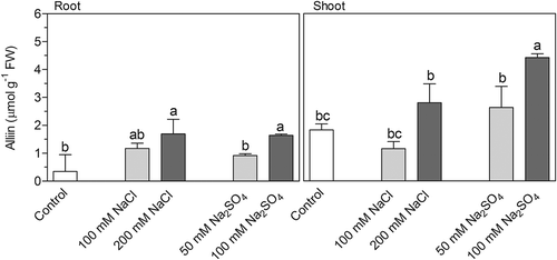 Figure 6. Impact of NaCl and Na2SO4 salinity on alliin content of root and shoot of Allium cepa. Different letters indicate significant difference (p < 0.01; One-way ANOVA, Tukey’s HSD all-pairwise comparisons as a post-hoc test).