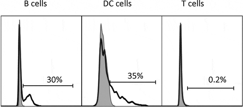 Figure 4. Binding of mAb757 to APCs ex vivo. Draining popliteal lymph node cells were harvested after peptide immunization and analyzed by flow cytometry as described in Methods. Profiles show binding of mAb757 (open profiles) or control 15G1a (filled gray profiles) to A: B lymphocytes, B: Dendritic cells, C: T cells. Cells were gated on CD19+ cells, CD11c+ cells and CD4+ cells, respectively