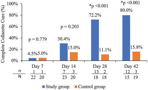 Figure 4. Proportion of participants with elimination of collarettes (grade 0) in the upper eyelid of the analysis eye in the study and control groups.