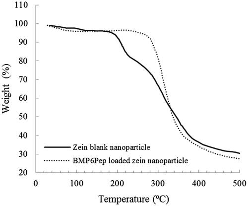 Figure 5. TGA of Zein blank (______) and peptide-loaded (….) nanoparticles.