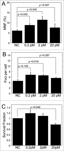 Figure 6. Bystander-like effects in MRC-5 cells after transfection of miR-21 mimics. (A) Frequency of micronuclei (MNF) in MRC-5 cells transfected with different concentrations of miR-21 mimics. (B) Yields of 53BP1 foci in MRC-5 cells transfected with different concentrations of miR-21 mimics. (C) Survival fraction of MRC-5 cells transfected with different concentrations of miR-21 mimics.