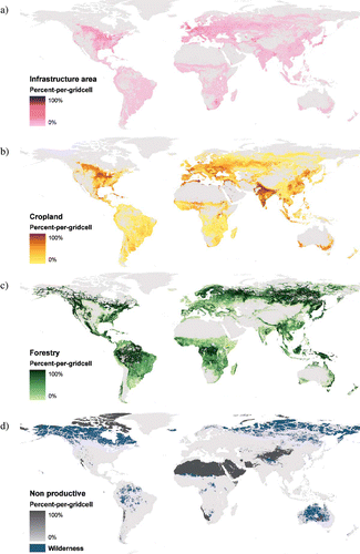 Figure 1. Patterns of land use. (a) Urban and infrastructure area, (b) cropland, (c) forestry, (d) wilderness and unproductive area. Greenland and Antarctica excluded. (Available in colour online)