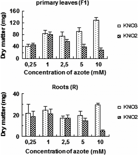 Fig. 1 Effects of increasing nitrite and nitrate concentration on dry weight (DW) of primary leaves (F1) and roots (R) of tomato during 7 days. Values are means ± E.S (n = 6). SE is indicated by bars when larger than symbol. The least significant differences (LSD) at 5% were used for mean comparison.Fig. 1. Matière sèche des feuilles matures (F1) et des racines (R) de tomate exposée à des doses variables de nitrate ou de nitrite pendant 7 jours. Chaque point est la moyenne de 6 répétitions ± E.S, intervalle de confiance calculé au seuil de probabilité 95%