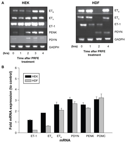 Figure 5 Increased expression of endogenous opioids is regulated by an ET-1/ETB receptor pathway after treatment with PRFE. (A) mRNA expression levels after treatment with PRFE using standard conditions. Cells were harvested after PRFE treatment at the indicated times and RT-PCR products were analyzed by electrophoresis through 2% agarose gel. (B) Quantitative RT-PCR was used to determine the effect of PRFE on message levels of the endogenous opioids, ET-1 and ETB.