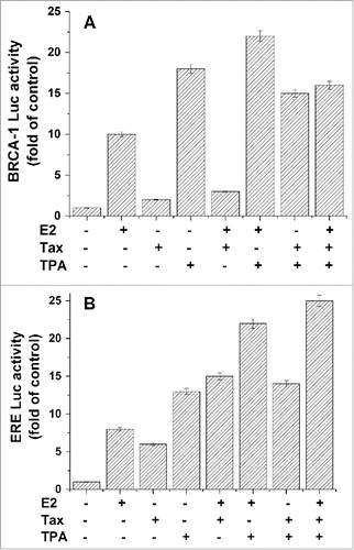 Figure 1. Effect of TPA on BRCA1 and ERE expression. MCF-7 were co-transfected with either a plasmid expressing BRCA1-Luc (1 μg) (A) or ERE-Luc (1 μg) (B) alone or together with Tax expressing plasmid (1 μg) with or without TPA (50 nM) or E2 (20 nM) treatment. The TPA and E2 were added to the cultures 5 and 24hr respectively before harvesting the cells for analyzing the reporter expression. The presented results are an average of 3 repeated experiments ± SE.