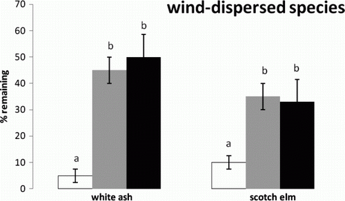 Figure 1.  Mean and standard error of percent seeds left for the interaction between wind-dispersed species and microsites. Means indicated with different letters were significantly different. Microsites are indicated as prairie (white), shrub (gray), and forest (black).