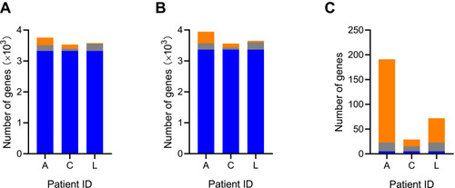 Figure 3 Characteristics of gene content in three A. baumannii bacteremia patients. Shared versus unique patient-specific core genes (A), pan genes (B), and gained or lost genes (C). The blue, grey, and orange colours indicated genes shared among all patients, shared between two patients, and unique to one patient, respectively.