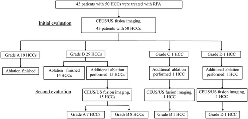 Figure 3. Flow chart of evaluation of therapeutic efficacy of RFA by CEUS/US fusion imaging performed during the RFA procedure.