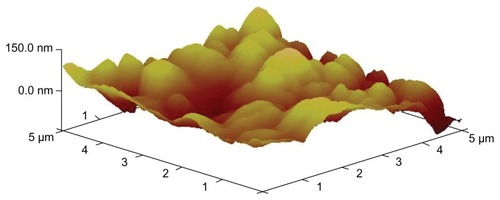 Figure 3 AFM image of PVP–NCTD–NPs.