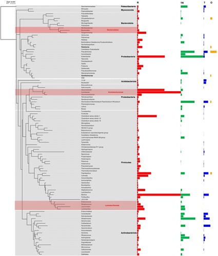 Figure 5. Phylogeny of the bacterial endophytes in R (>0.1%), with bacterial proportions per genus as colored bars with length proportional to abundance. Note that Proteobacteria is not monophyletic based on the 16S rRNA (V3-V4 region). R (red): proportion in Rafflesia seed; TR (green): infected host; T (blue): uninfected host; O (orange): Orobanche. Seven unknown genera were not included. The taxonomic groups Bacteroidales, Acetobacteraceae, Lactobacillales were enriched in R and/or TR, but depleted in T. The genera Ralstonia and Xanthomonas were only present in both R and O.