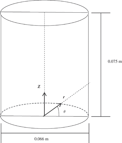 Figure 3. Tri-dimensional schematic representation of the vertical can used in this study.Representación esquemática tridimensional de la lata en posición vertical usada en este estudio.