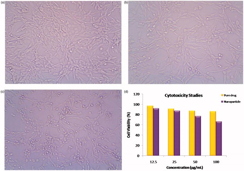 Figure 11. Cytotoxicity studies. (a) Control, (b) Pure drug, (c) Nanoparticles, (d) % cell viability comparison.
