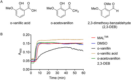 Figure 6. The functional role of reactive groups in o-vanillin. (A) Analogues of o-vanillin used to test the role of aldehyde and hydroxyl groups. (B) Turbidity assays of MALTIR (103 µM) in the presence of o-vanillin and its less reactive analogues (protein: ligand = 1:20). Representative result of two independent experiments is shown. Some turbidity increase is observed in the presence of o-vanillin, although it is clearly inhibited compared to the protein-only sample.