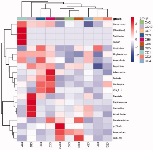Figure 5. Heat map of samples showing the species composition. In the figure, red blocks indicate that the richness of that genus was higher than that of other genera in the same sample, while blue blocks indicate lower genus richness in the sample. CD1, CD2 and CD4 = group A (0 mg/kg OEO supplemented); CA2 = group B (150 mg/kg OEO supplemented); CC7, CC9 and CC10 = group C (300 mg/kg OEO supplemented); and CB5, CB6 and CB8 = group D (450 mg/kg OEO supplemented).