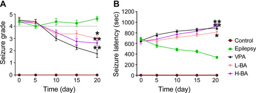 Figure 2 Effects of BA on PTZ-induced seizures. (A) Seizure grade. (B) Seizure latency. The values were presented as the mean ± SEM. (n = 8. * P < 0.05, ** P < 0.01 vs epilepsy group).