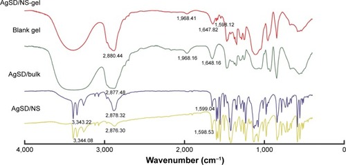 Figure 5 FTIR spectra of AgSD/NS, AgSD bulk, blank gel, and AgSD/NS gel.Abbreviations: AgSD, silver sulfadiazine; FTIR, Fourier transform infrared; NS, nanosuspension.