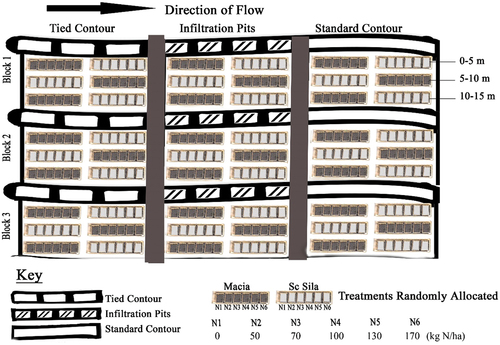 Figure 2. Experimental Layout.