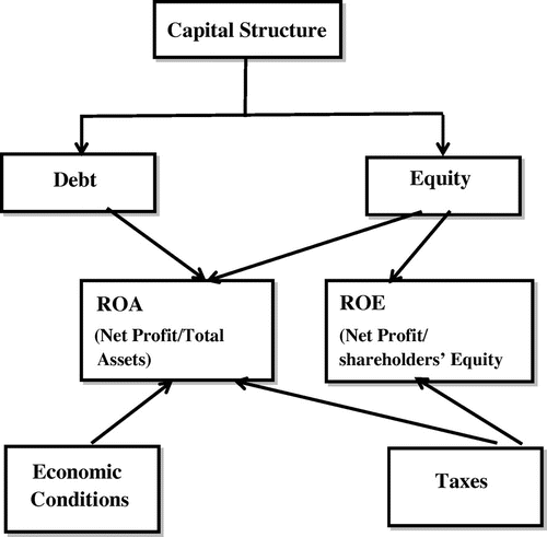 Figure 1. Profit performance model.