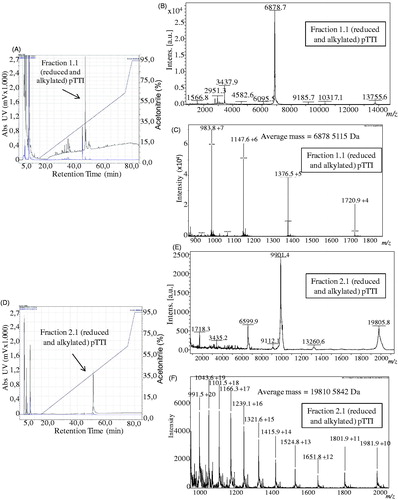 Figure 3. Chromatograms, mass spectra with MALDI-TOF ionisation source and ESI spectra in micrOTOF-Q II of reduced and alkylated fractions 1 and 2 (Fr1.1 and Fr2.1). (A) Chromatogram of reduced and alkylated Fr1. (B) MALDI-TOF mass spectrum of Fr1.1, with three major charge states. (C) ESI mass spectrum of Fr1.1, showing its protonated molecular mass. (D) Chromatogram of reduced and alkylated Fr2. (E) MALDI-TOF mass spectrum of Fr2.1, with three charge states. (F) ESI mass spectrum of Fr2.1, showing its protonated molecular mass. pTTI: Purified tamarind trypsin Inhibitor from T. indica L.