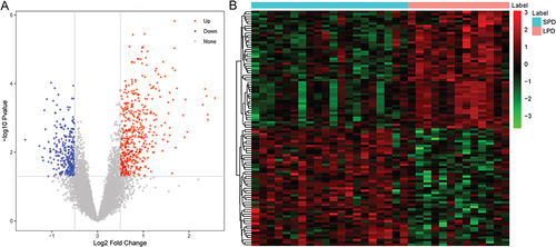 Figure 1 Volcanic maps (A) and heat maps (B) of top 100 genes in LPD patients.