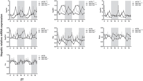 Figure 2. Effect of timing of food intake on hepatic mRNA expression of biosynthetic bile acid genes. Rats were fed a chow diet time-restricted during the dark period (dark fed, filled circles) or light period (light fed, open circles) or 24 h ad lib (grey line). Grey background indicates the dark period and the X-axis the ZT. Rats were killed and liver tissue was collected for qPCR every three hours during 24 h. Gene expression is given relative to the geometric mean of three reference genes. Asterisks indicate if the expression pattern showed a significant daily rhythm, * p < 0.05, **p < 0.01, ***p < 0.001. Cyp: cytochrome P450 family member; Shp: short heterodimer partner; Fxr: farnesoid X receptor; Bsep: bile salt export pump.