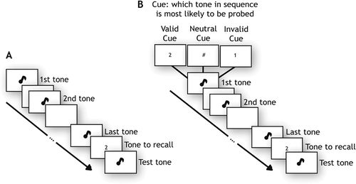 Figure 1. Experimental paradigm.