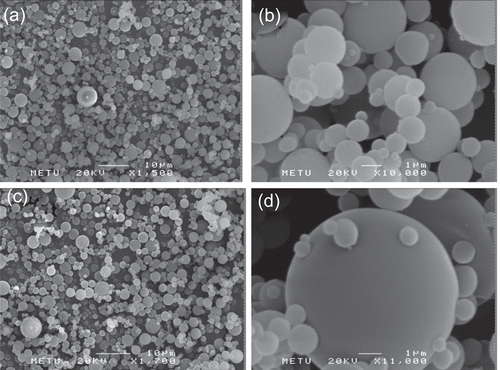 Figure 1.  SEM photograph showing the spherical shapes and smooth surfaces of CL1PA10 (a and b) and CM1PA20 (c and d) microspheres.