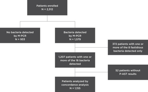 Figure 1 Study design and participant selection.