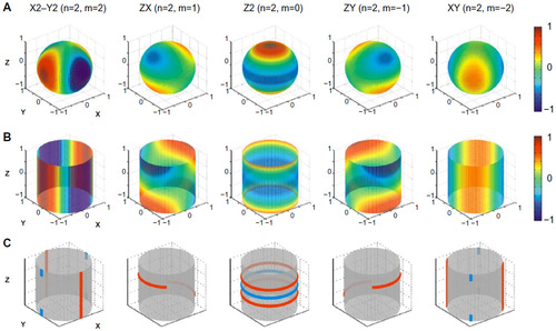 Figure 3 Passive permalloy shim solutions for a second-order shim set.