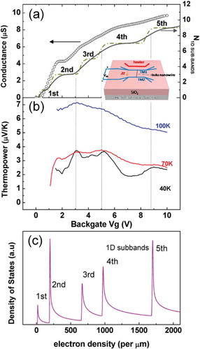 Figure 15. Gate-tuned conductance and thermopower of InAs nanowire. (a) Comparing the measured conductance (40 K) vs gate voltage (Vg) data (open circle) with the calculated one dimensional (1D) subband occupation with only thermal broadening (dash dotted line) or both the thermal and the scattering broadening (solid line) considered. (b) Gate modulation of thermopower (S) at 100, 70, and 40 K. The dashed vertical lines are a guide to the eye, highlighting the appearance of peak in S(Vg) when a 1D subband starts to be filled. (c) Calculated density of states vs 1D electron density in nanowire with the index of subbands marked. Reproduced with permissions from [Citation135].