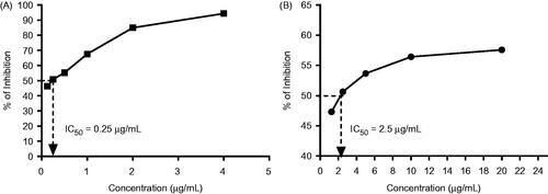 Figure 1. DPPH-free radical scavenging activity of (A) gallic acid (standard) and (B) turmeric extract.