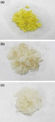 Figure 9 Images of (a) MOP, (b) MBP, and (c) CBP MPs showing leaching.