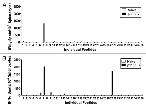 Figure 4. Additional IFN-γ ELISpot assays performed using individual peptides to characterize dominant epitopes. Splenocytes isolated from vaccinated mice and negative control were stimulated with overlapping peptides that span the entire HPV 6 E6/E7 fusion protein (A) or HPV 11 E6/E7 fusion protein (B).