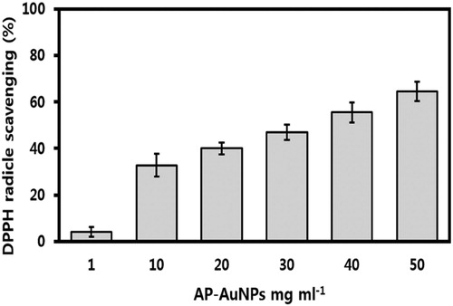 Figure 7. Antioxidant activity of AP-AuNPs by DPPH free radicals scavenging.