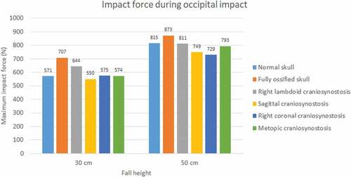Figure 7. The maximum impact force in occipital impact from 30 and 50 cm falls with different degrees of ossification in the sutures