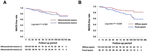 Figure 3 Kaplan–Meier curve for MACE-free survival during the follow-up period: influence of (A) atherosclerotic lesions (B) focal spasms.