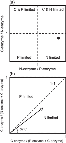 Figure 8. Estimation of microbial nutrient limitation using (a) ecoenzymatic stoichiometry (Hill et al. Citation2012) and (b) vector analysis (Moorhead et al. Citation2013, Citation2016). Results for the C-:N-:P-acquiring enzyme activity ratio of 6:7:4 are shown as an example, indicating N limitation in both analyses. See the text for details.
