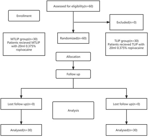 Figure 2 Participant flowchart.