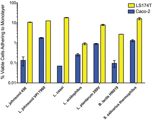 Figure 2. L. johnsonii 456 adheres best to a goblet cell-like gut epithelial monolayer. Relative adhesion of viable cells shown as a percentage of viable cells plated (2–5 x 10^8 cells/well) (n = 2). Data expressed as means and SEM. Experiment was repeated twice.