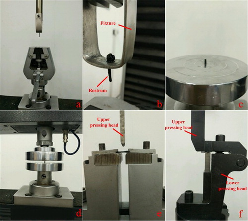 Figure 2. Experiment mechanism.